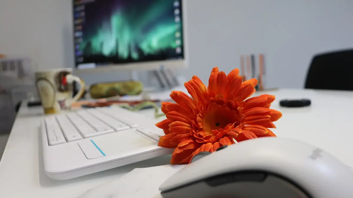 Komputery: Przewodnik po rodzajach i wyborze sprzętu