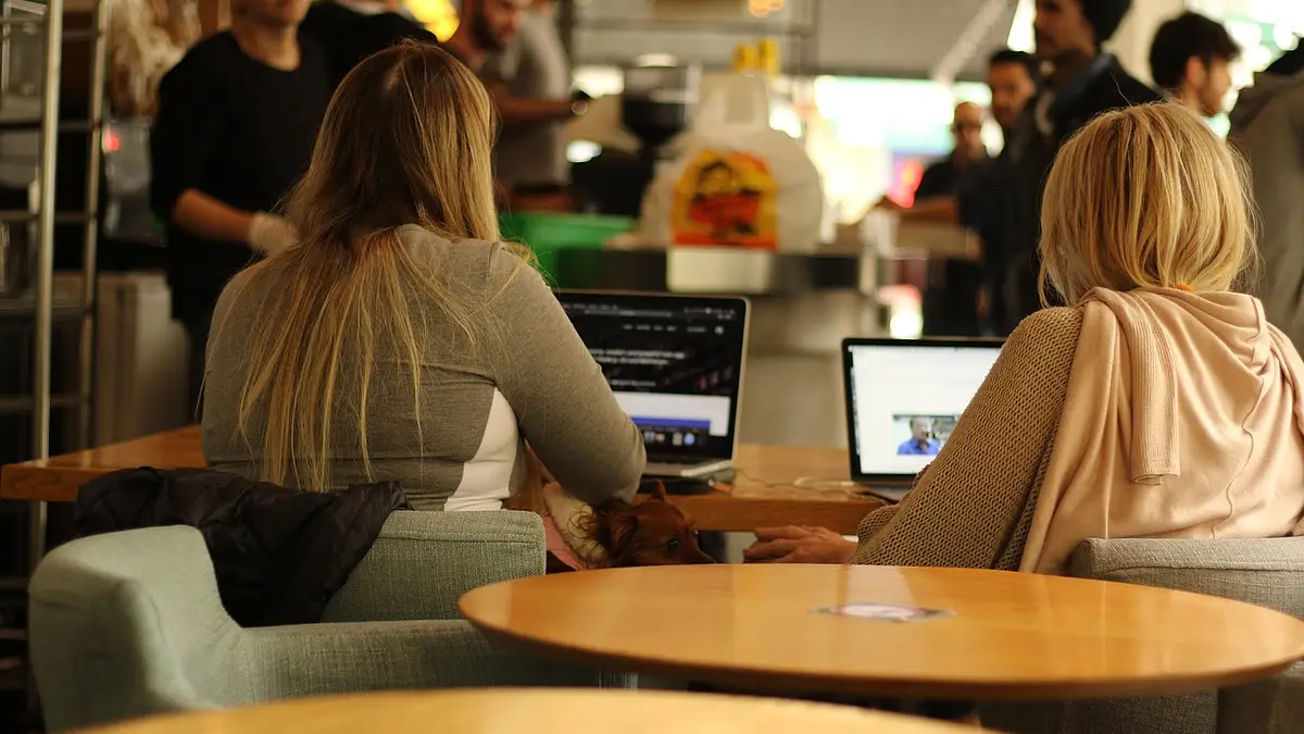 Ile trzeba dać za dobry laptop? Najlepsze modele 2024